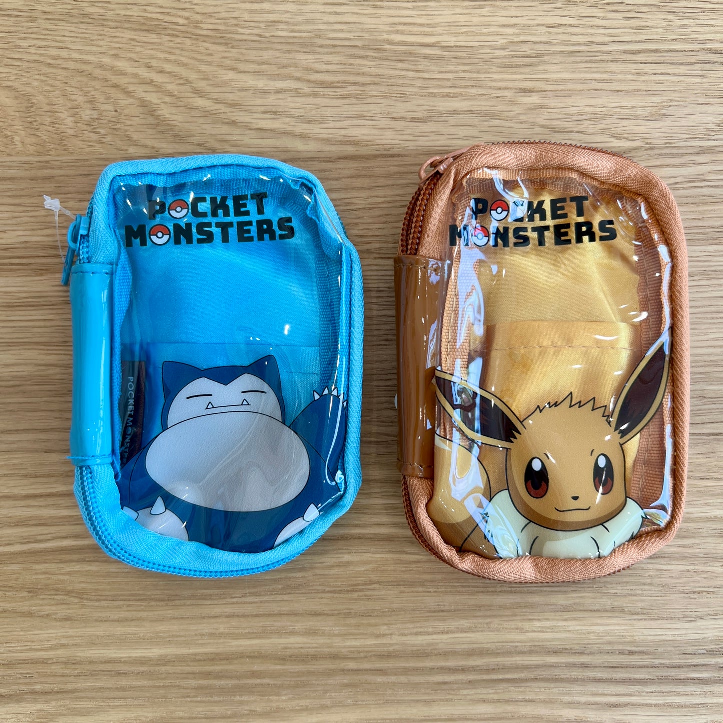 Pokémon Carrying Case Keychain