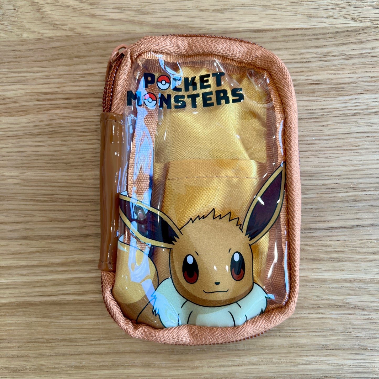 Pokémon Carrying Case Keychain