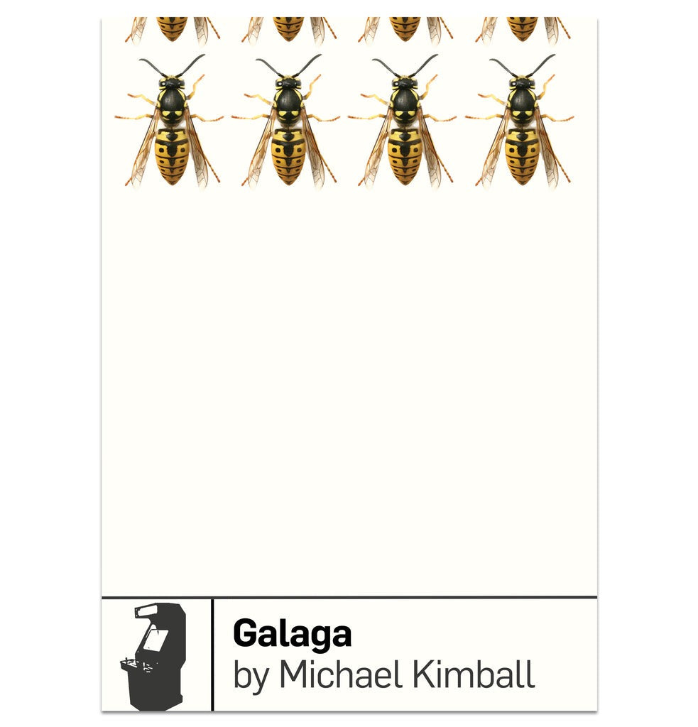Boss Fight Books - Galaga by Michael Kimball