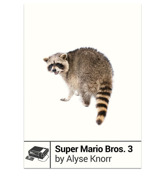 Boss Fight Books - Super Mario Bros. 3 by Alyse Knorr