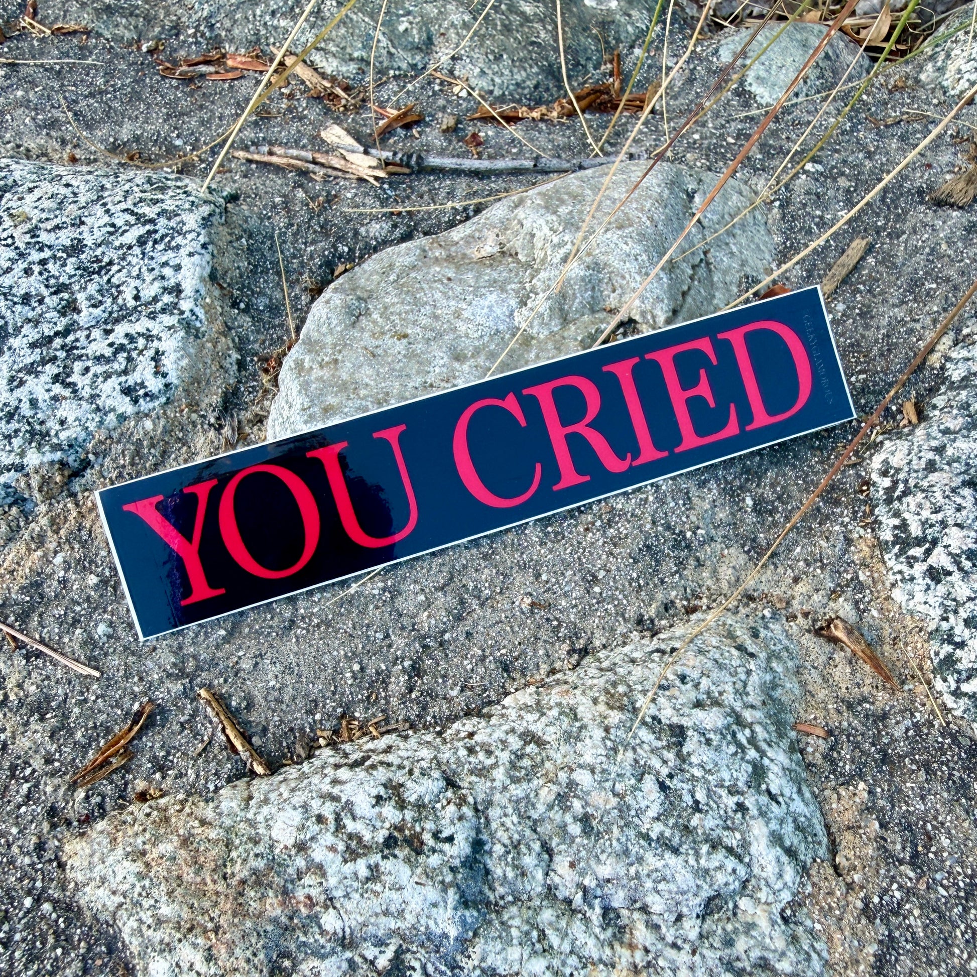 Sticker with 'YOU CRIED' text on a textured surface